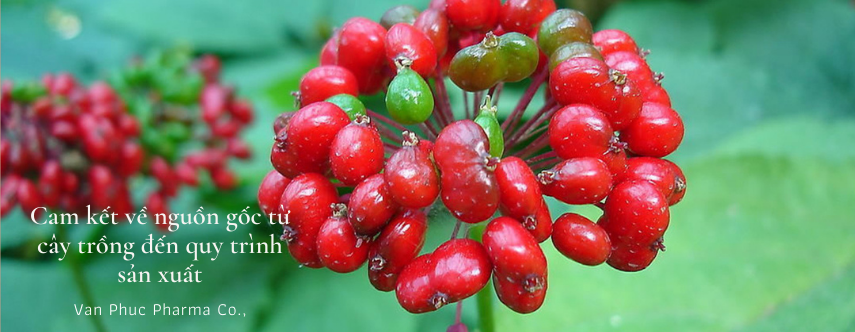 Giảm tới 15% chỉ trong hôm nay